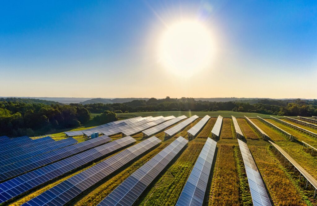field-of-solar-panels