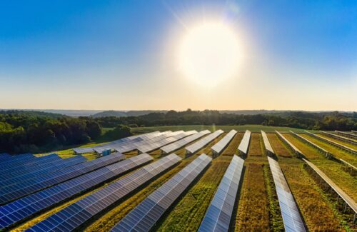 field-of-solar-panels